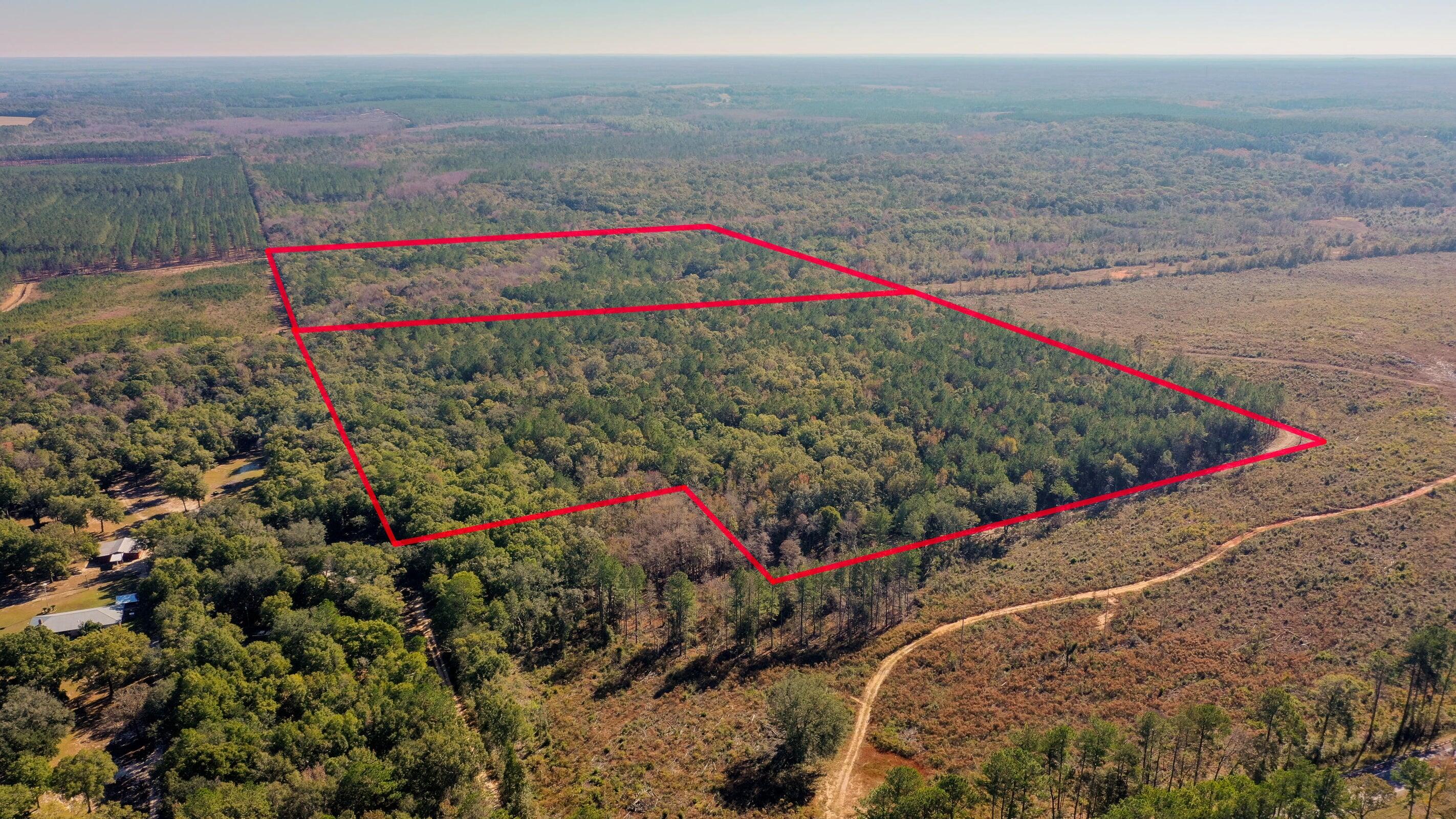 75 Acres N Florida 81 Ponce De Leon FL 32455