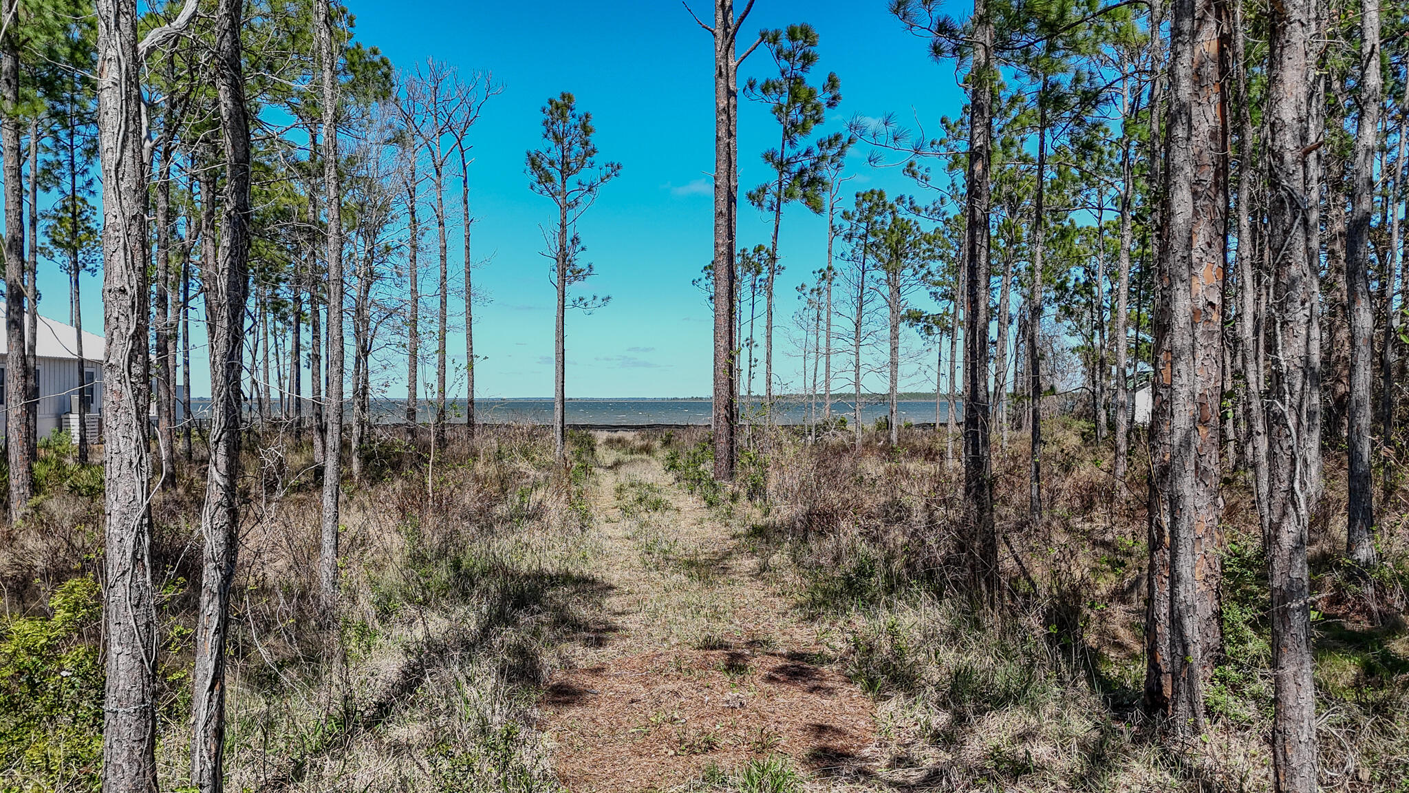 24 Woodland Bayou Drive Santa Rosa Beach FL 32459