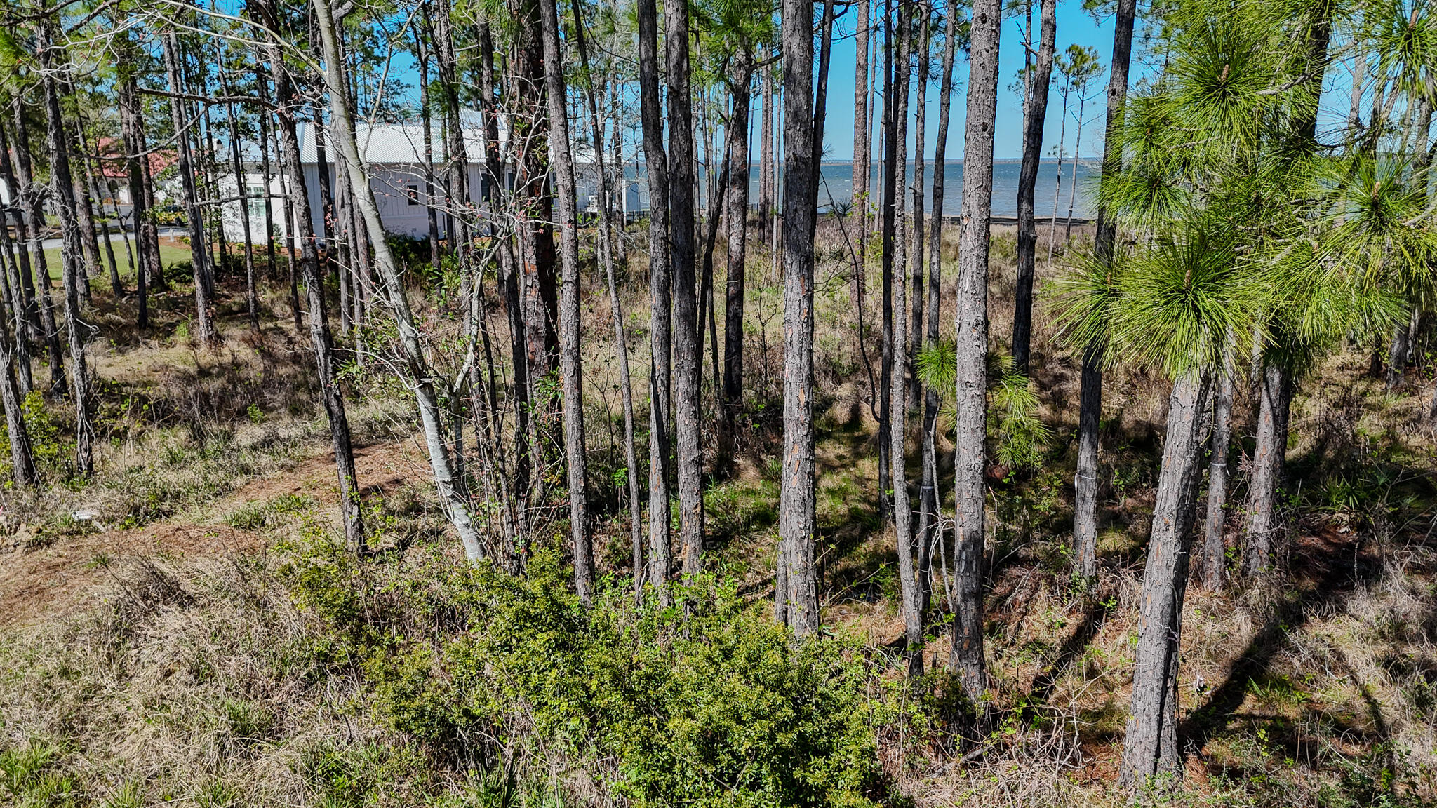 24 Woodland Bayou Drive Santa Rosa Beach FL 32459
