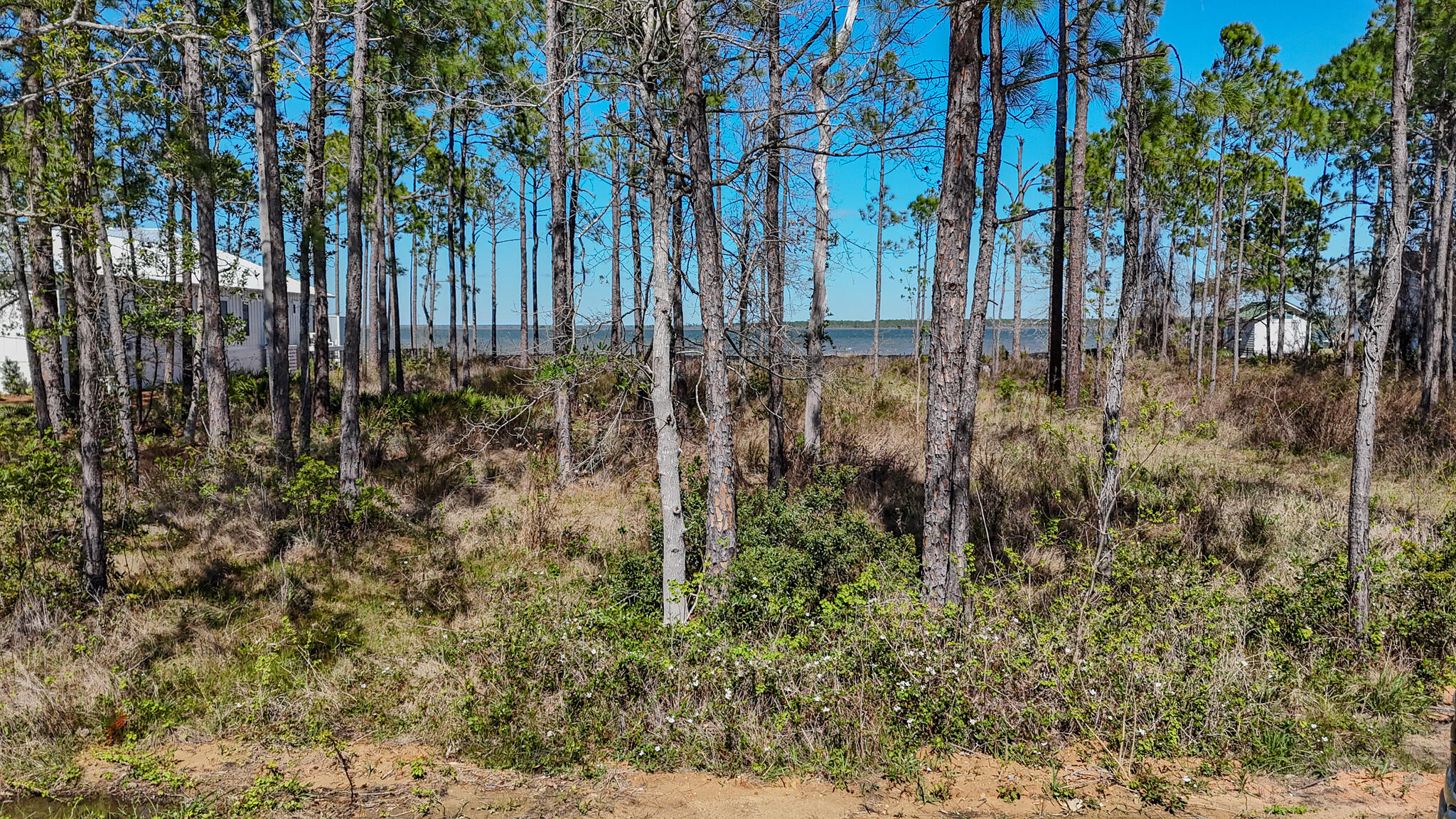 24 Woodland Bayou Drive Santa Rosa Beach FL 32459