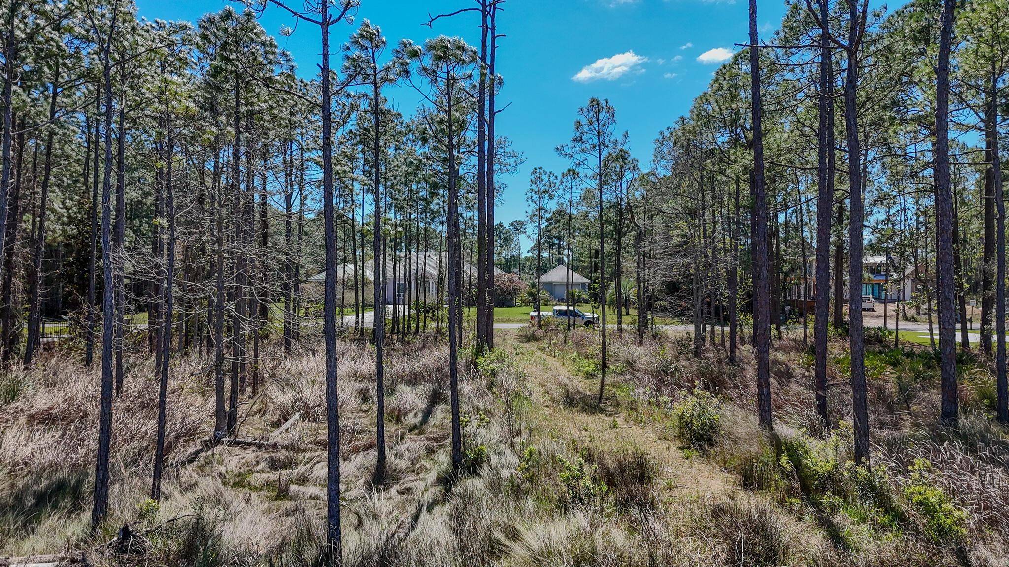 24 Woodland Bayou Drive Santa Rosa Beach FL 32459