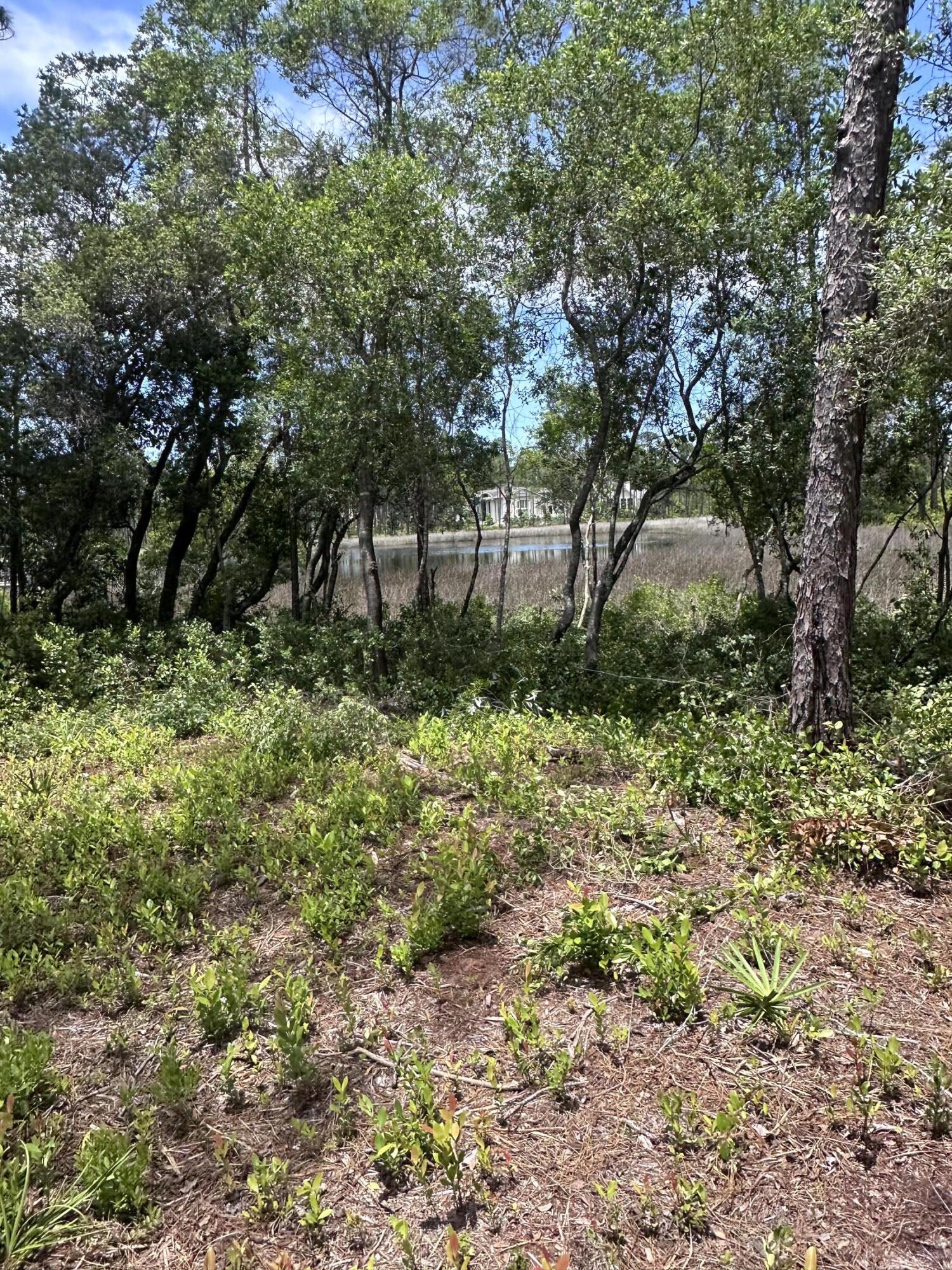 22114 Marsh Rabbit Run Panama City Beach FL 32413