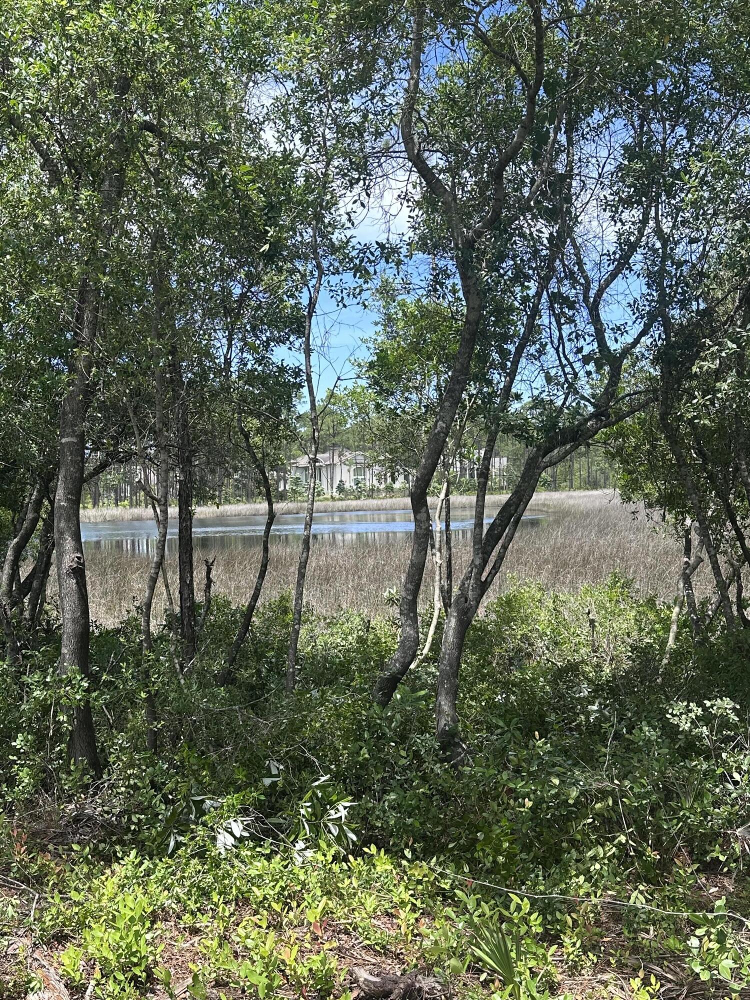 22114 Marsh Rabbit Run Panama City Beach FL 32413
