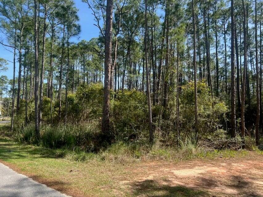 Lot 4 Whisper Lane Santa Rosa Beach FL 32459