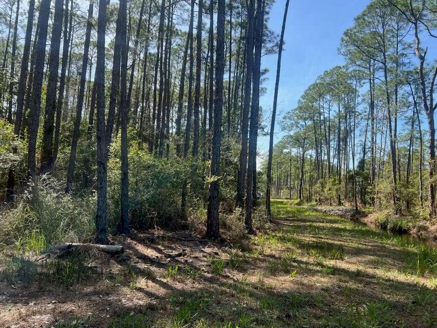 Lot 4 Whisper Lane Santa Rosa Beach FL 32459