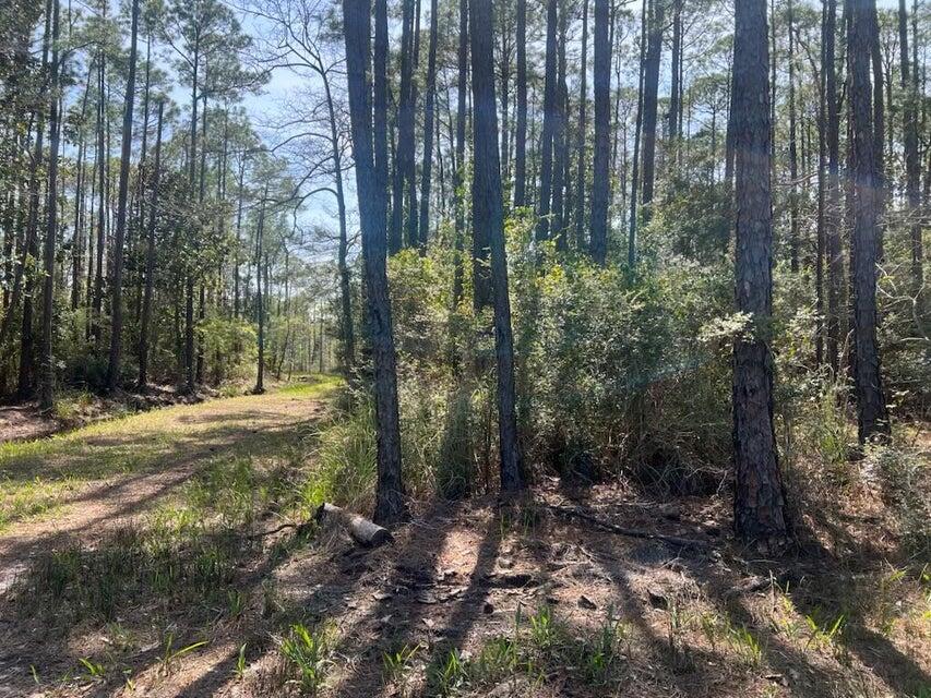 Lot 4 Whisper Lane Santa Rosa Beach FL 32459