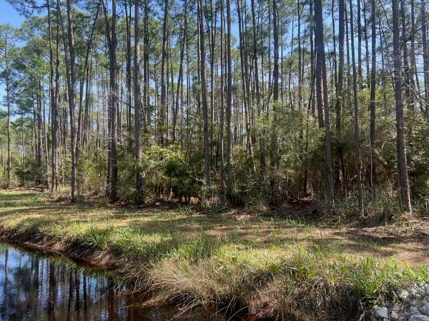 Lot 4 Whisper Lane Santa Rosa Beach FL 32459