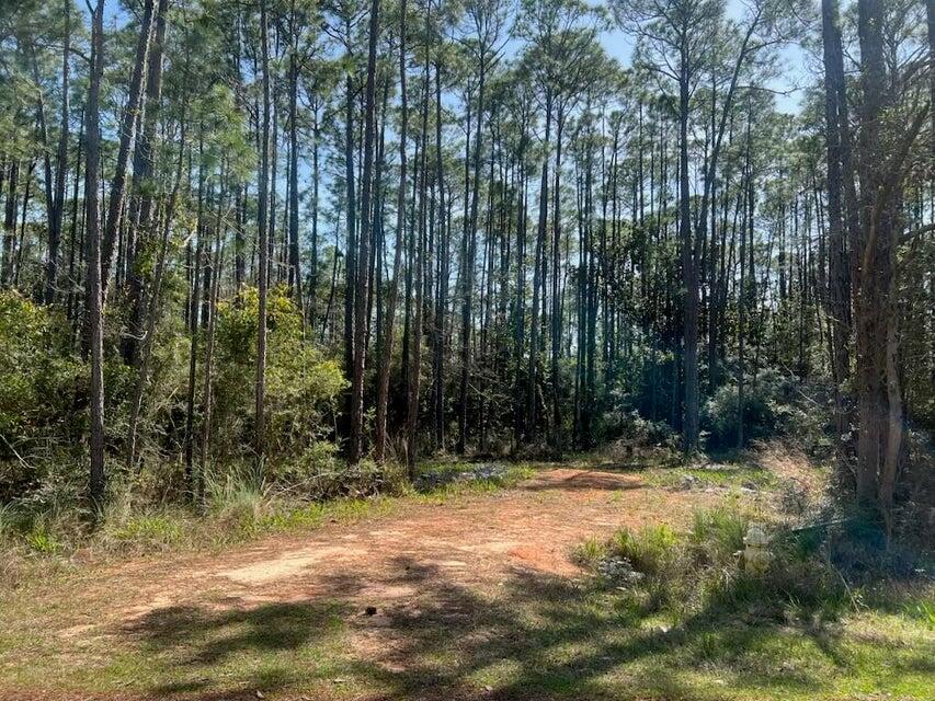 Lot 4 Whisper Lane Santa Rosa Beach FL 32459