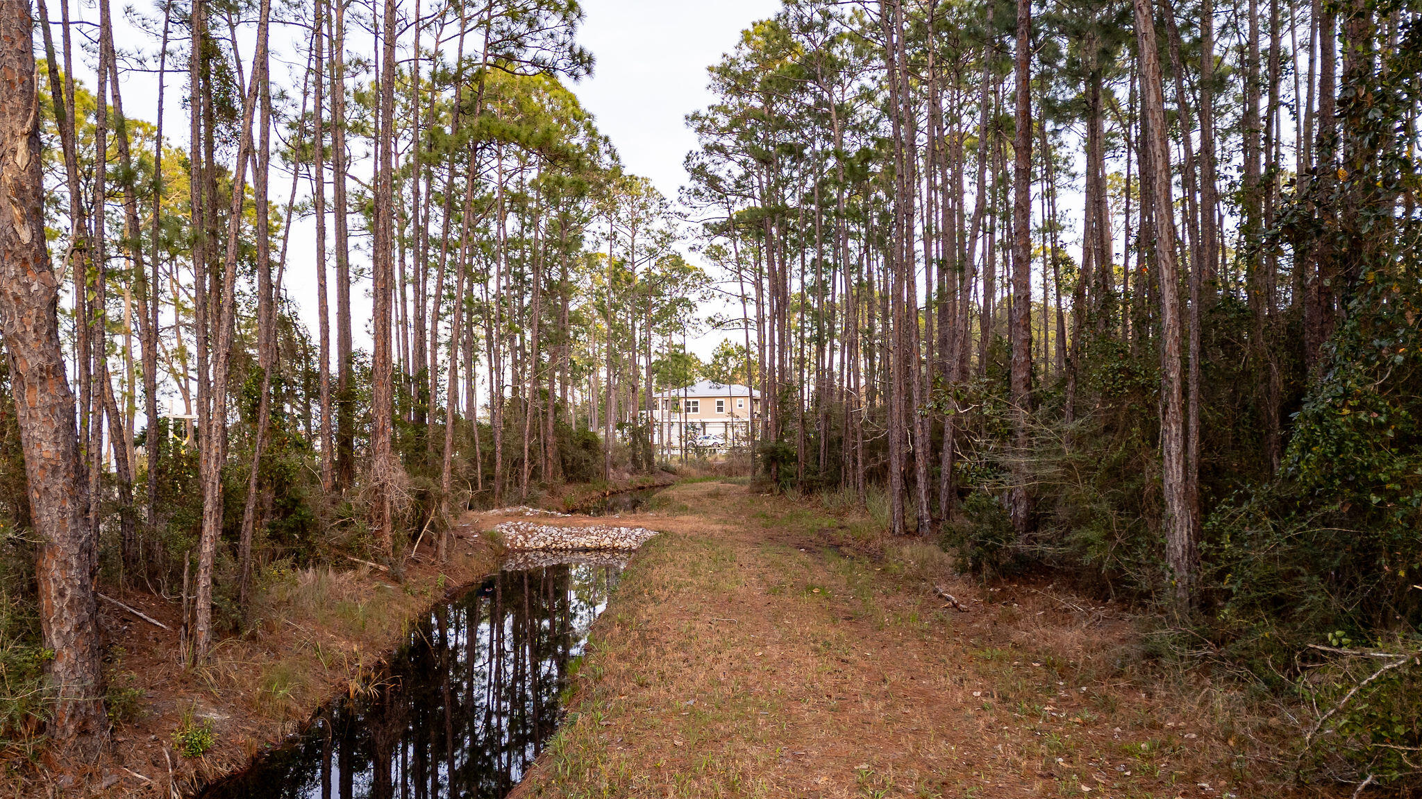Lot 4 Whisper Lane Santa Rosa Beach FL 32459