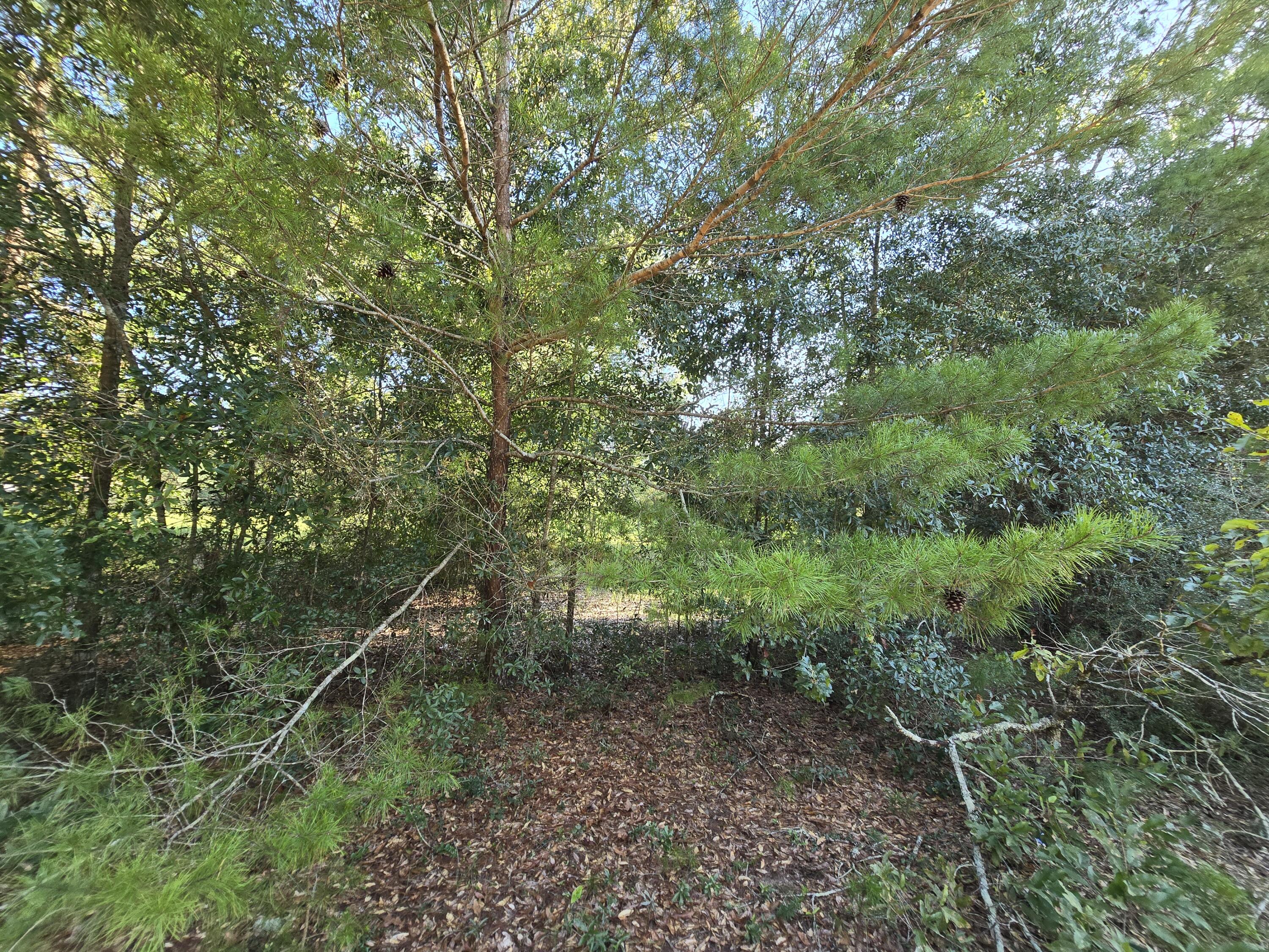 Tbd Randi Road Crestview FL 32539