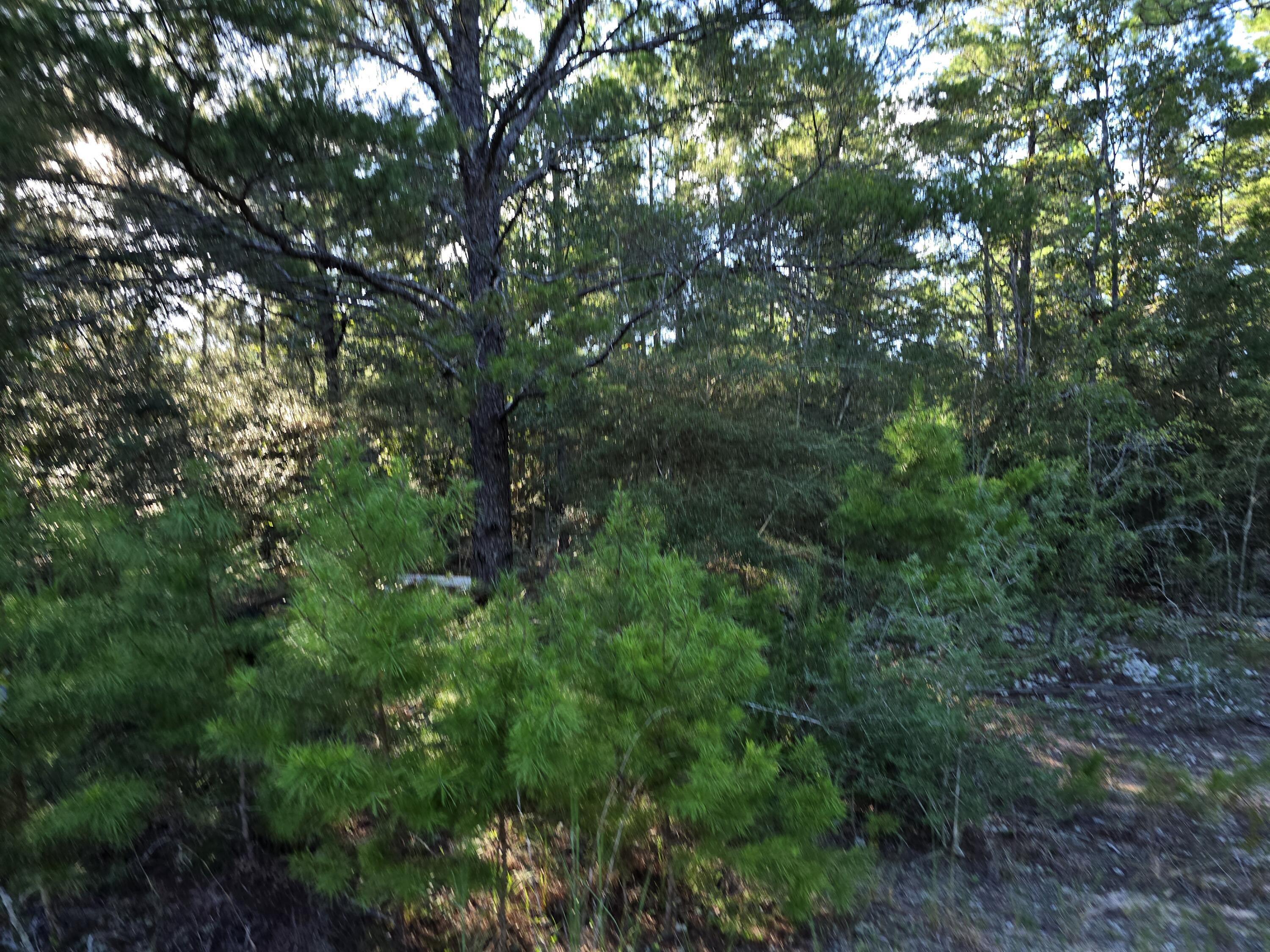 Tbd Randi Road Crestview FL 32539