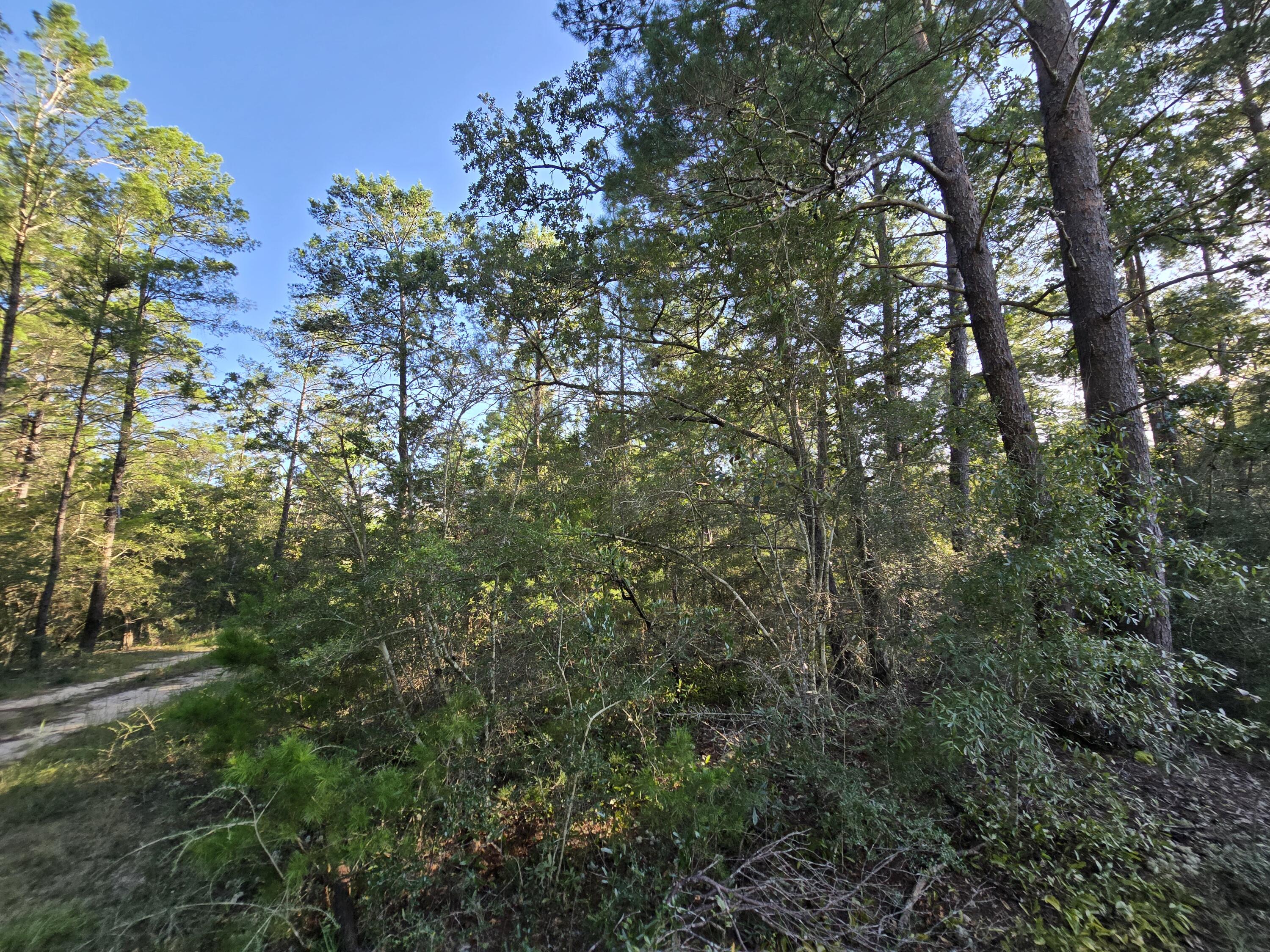 Tbd Randi Road Crestview FL 32539