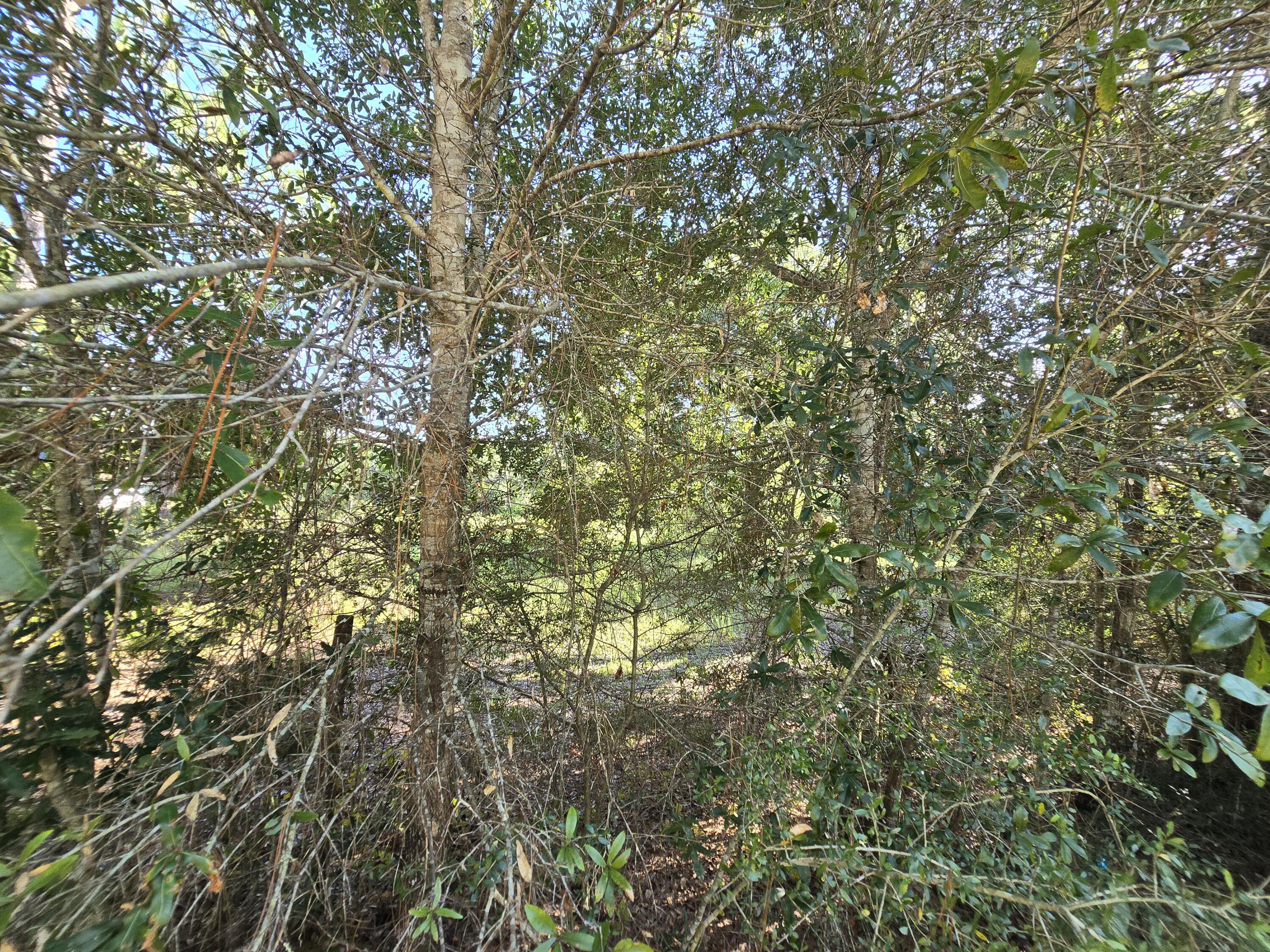 Tbd Randi Road Crestview FL 32539