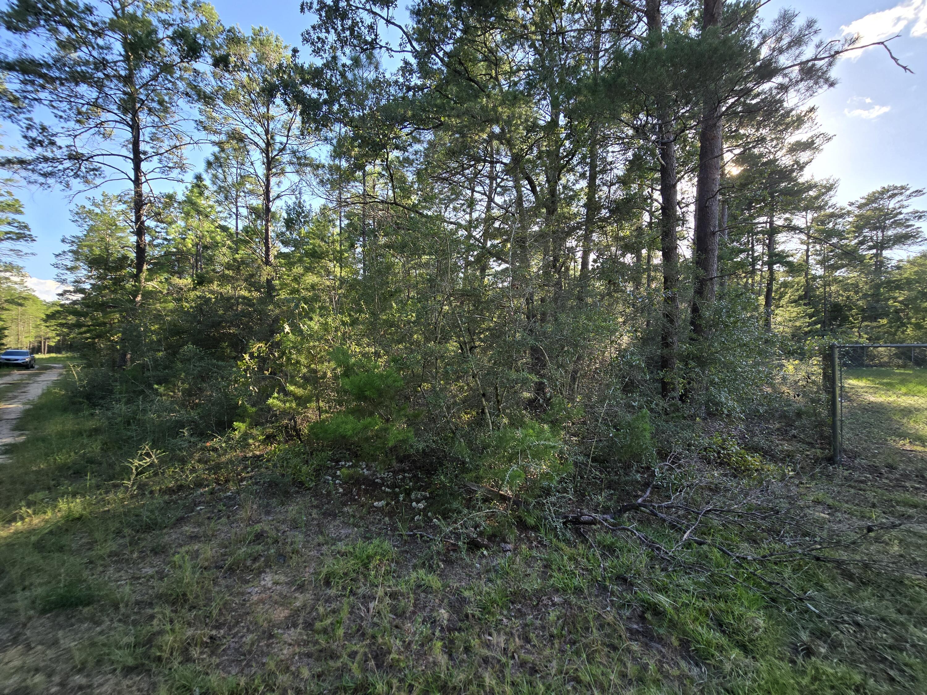 Tbd Randi Road Crestview FL 32539