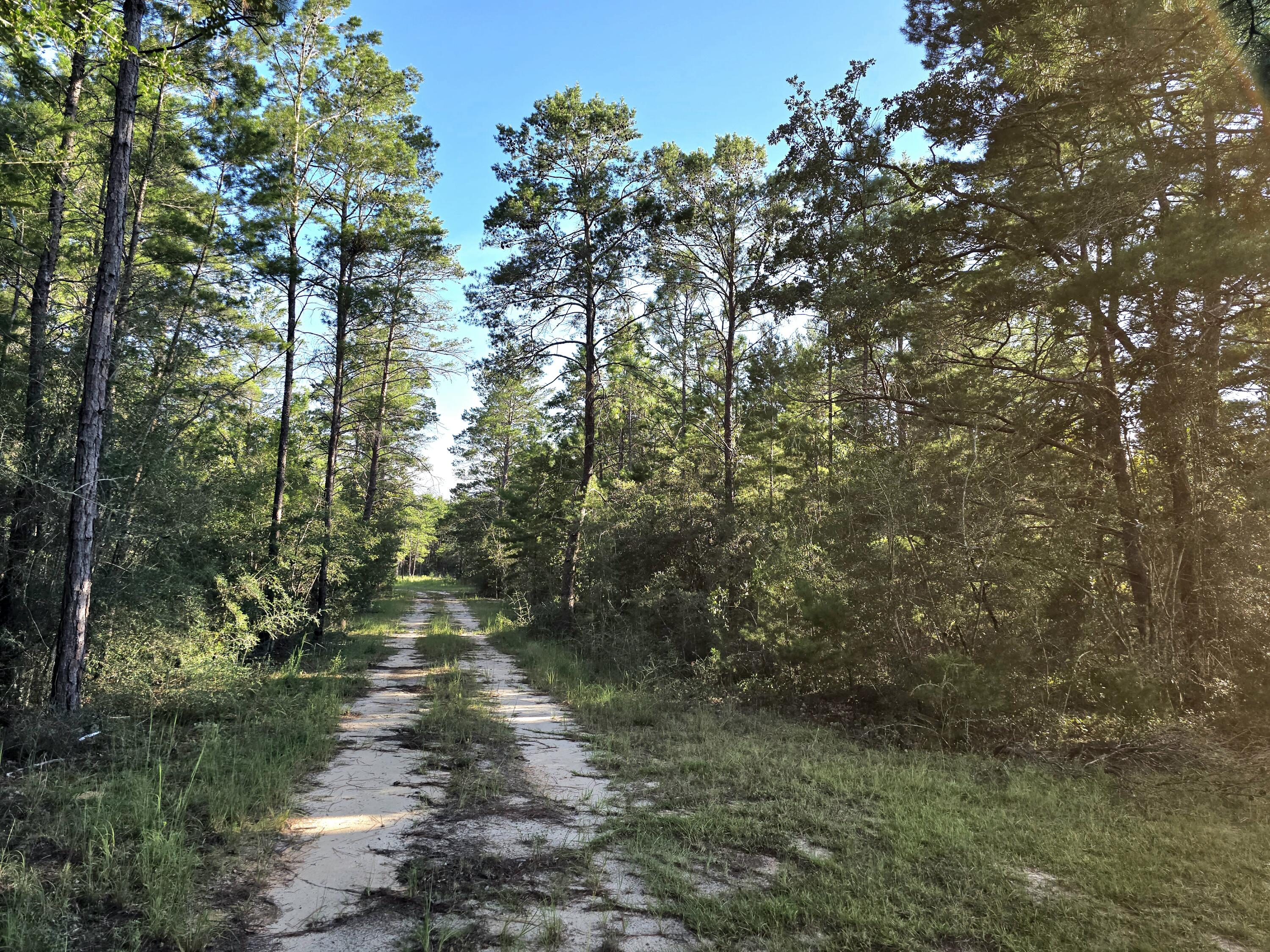 Tbd Randi Road Crestview FL 32539