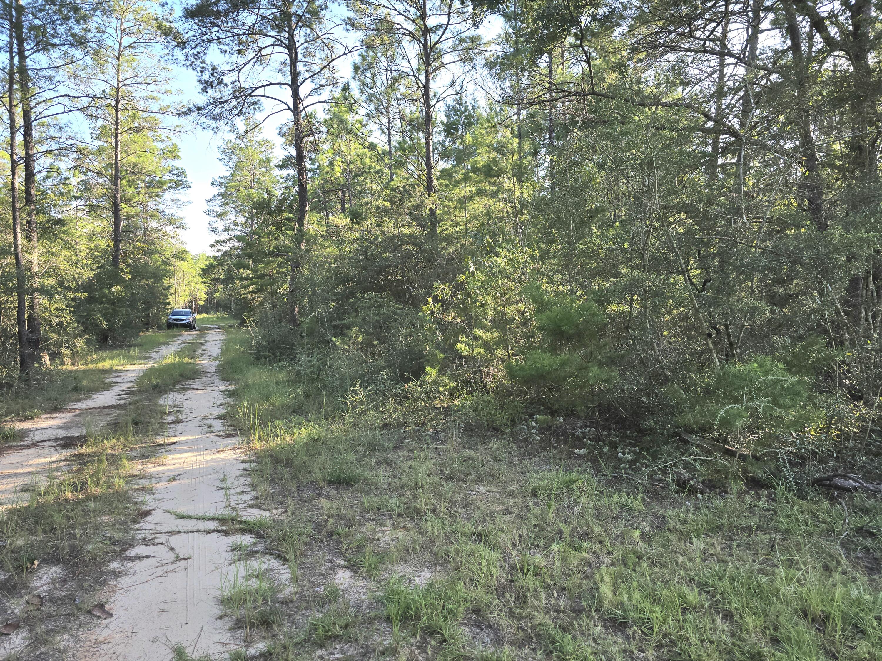 Tbd Randi Road Crestview FL 32539