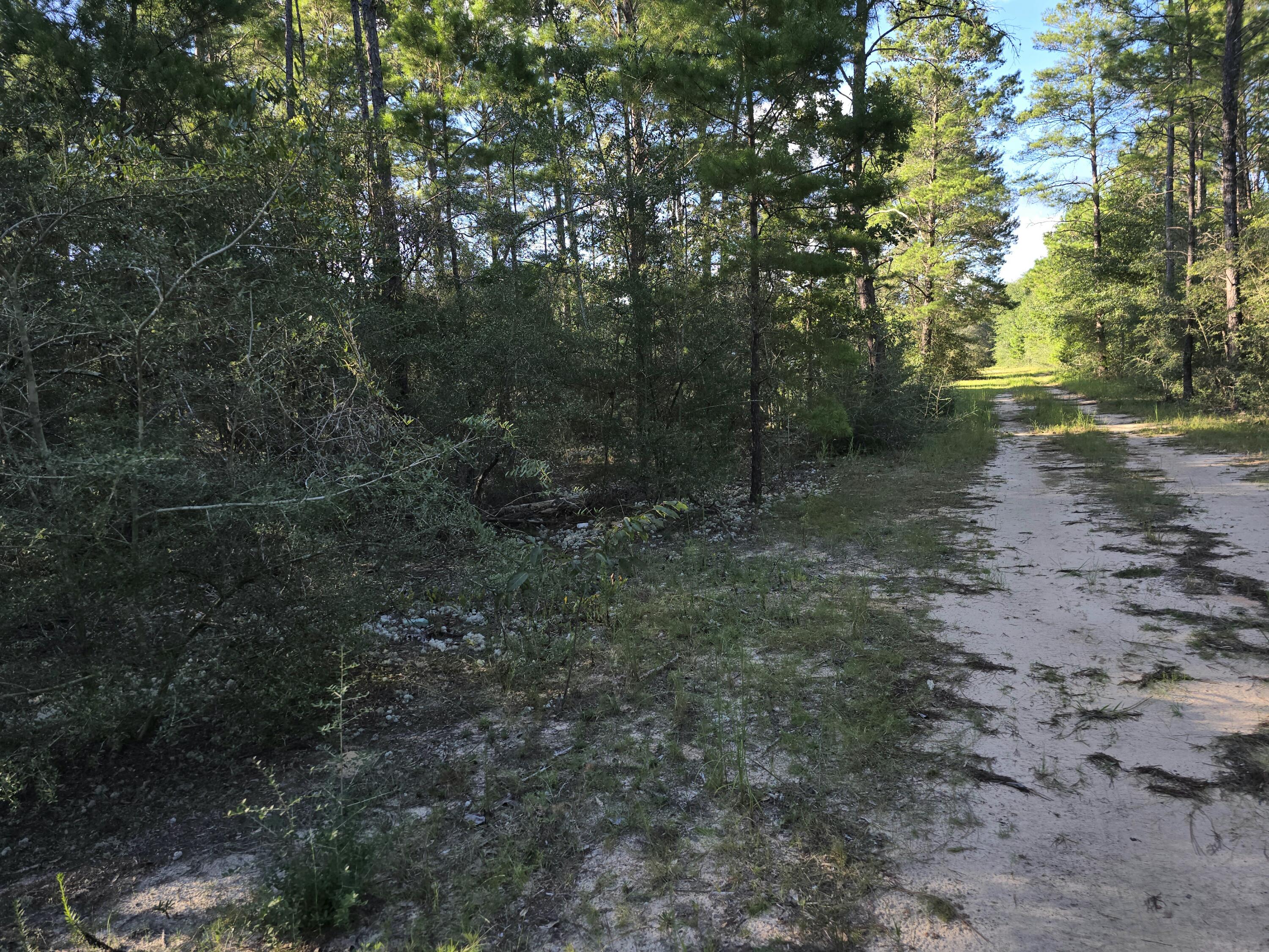 Tbd Randi Road Crestview FL 32539