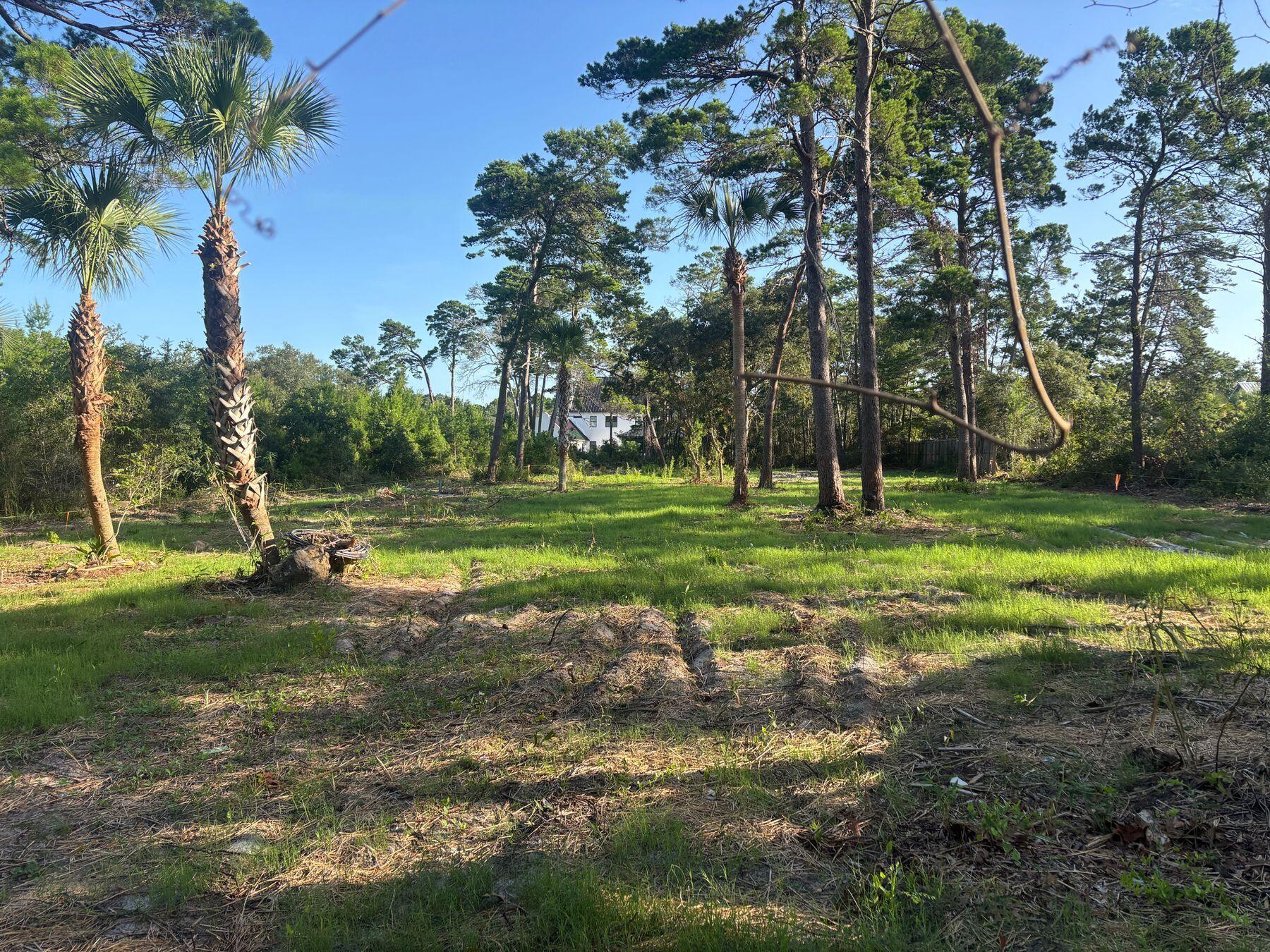 291 E Pinewood Lane Inlet Beach FL 32461
