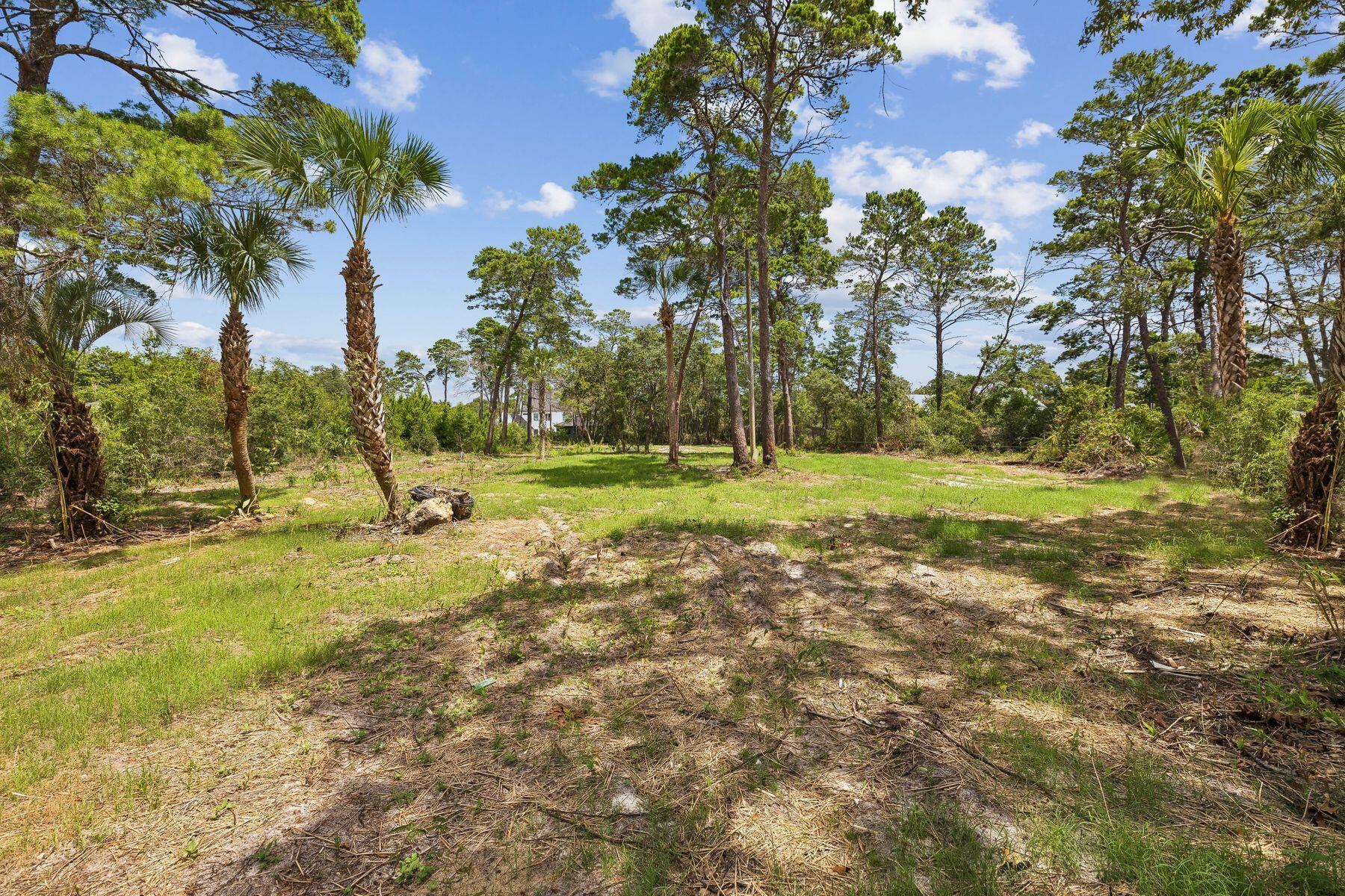 291 E Pinewood Lane Inlet Beach FL 32461