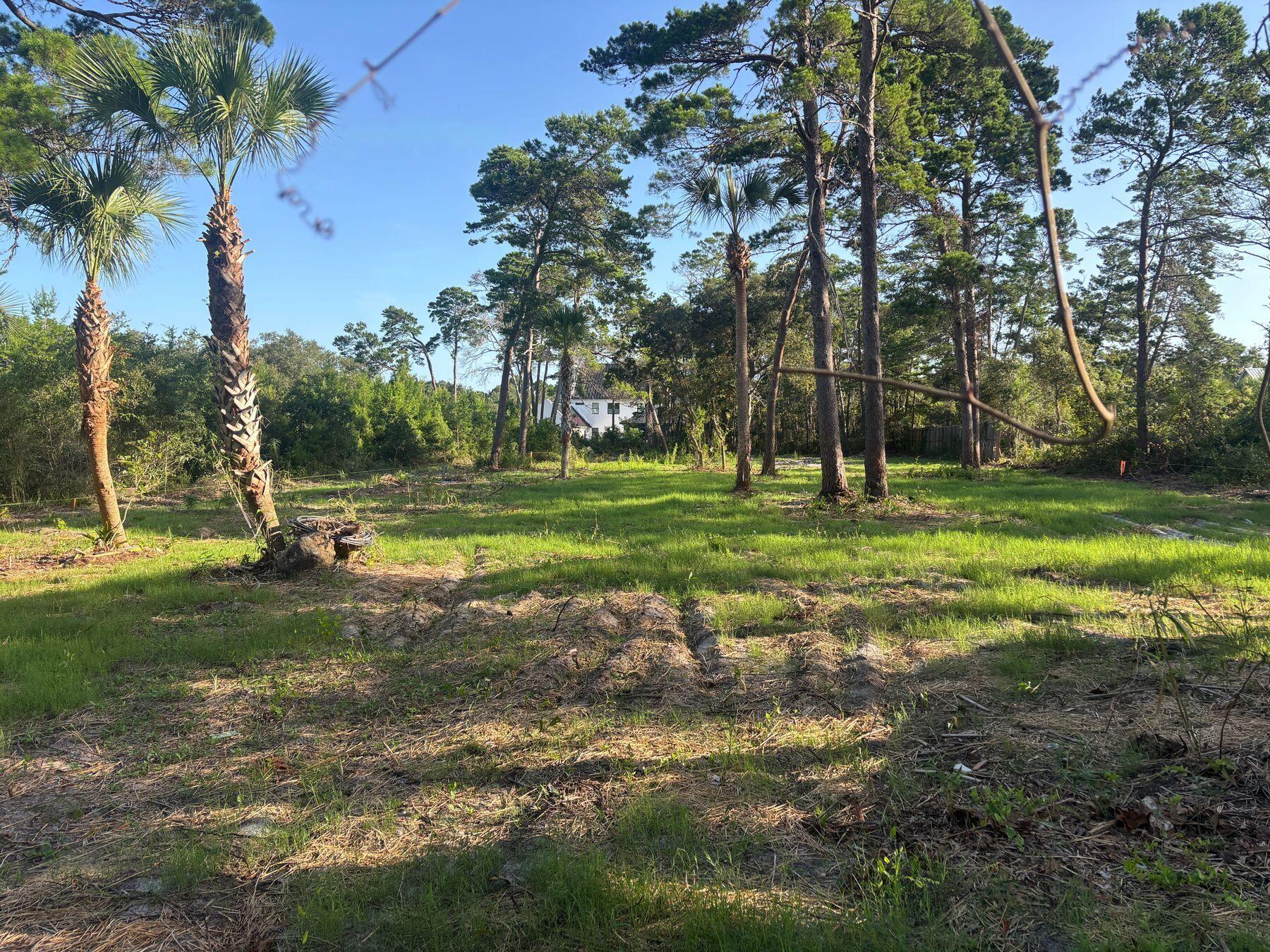 291 E Pinewood Lane Inlet Beach FL 32461