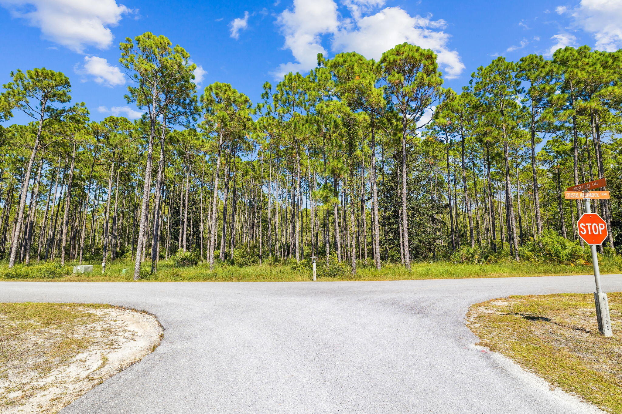 7628 Coastal Hammock Trail Panama City Beach FL 32413