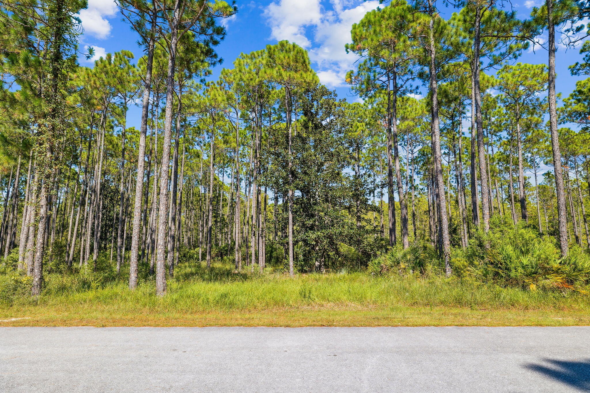7628 Coastal Hammock Trail Panama City Beach FL 32413