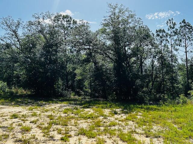 4195 Whippoorwill Drive Holt FL 32564