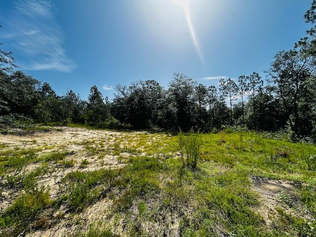 4195 Whippoorwill Drive Holt FL 32564