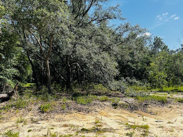 4195 Whippoorwill Drive Holt FL 32564