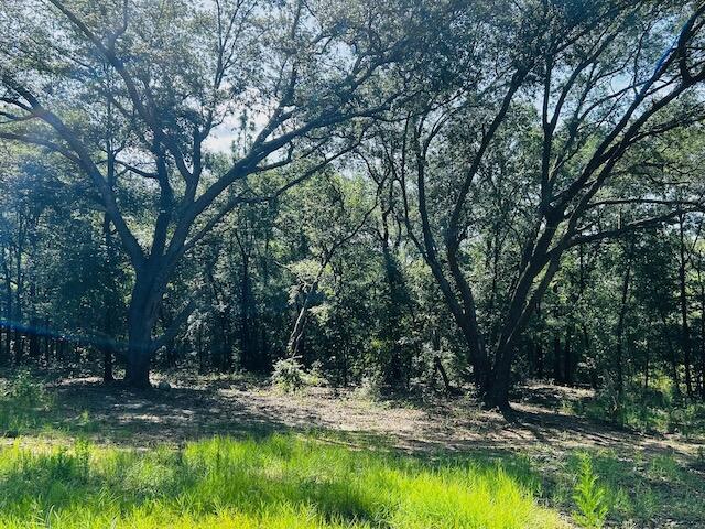 4195 Whippoorwill Drive Holt FL 32564