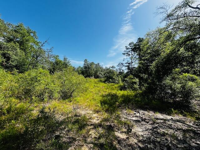 4195 Whippoorwill Drive Holt FL 32564