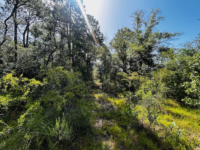 4195 Whippoorwill Drive Holt FL 32564