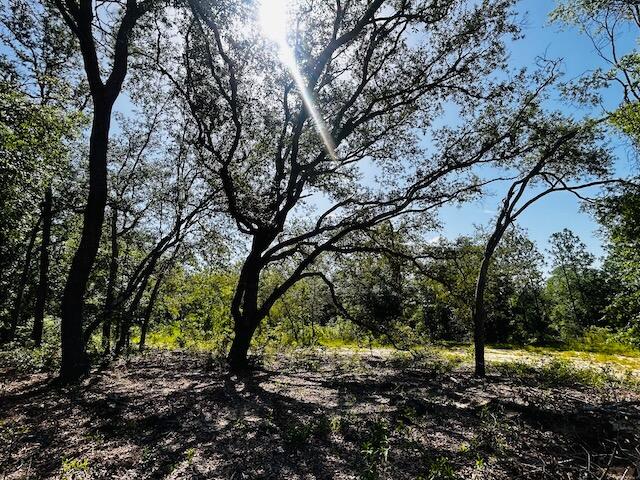 4195 Whippoorwill Drive Holt FL 32564