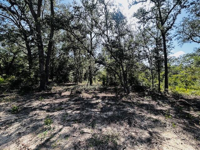 4195 Whippoorwill Drive Holt FL 32564