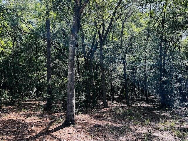 4195 Whippoorwill Drive Holt FL 32564