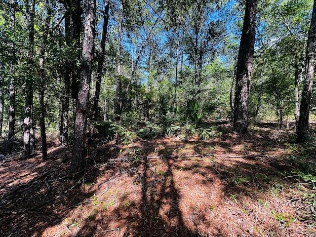 4195 Whippoorwill Drive Holt FL 32564