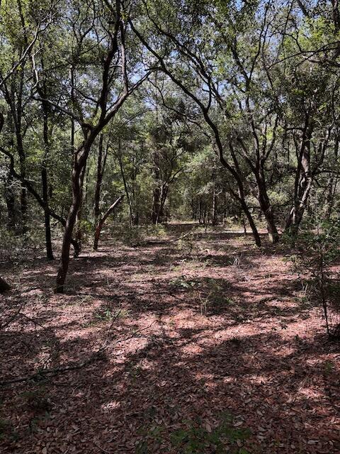 4195 Whippoorwill Drive Holt FL 32564