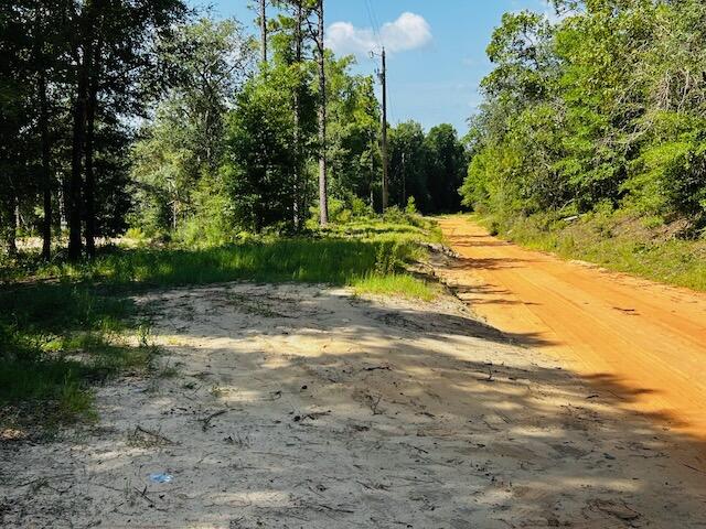 4195 Whippoorwill Drive Holt FL 32564