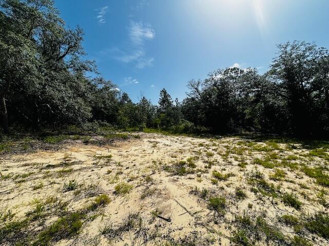 4195 Whippoorwill Drive Holt FL 32564
