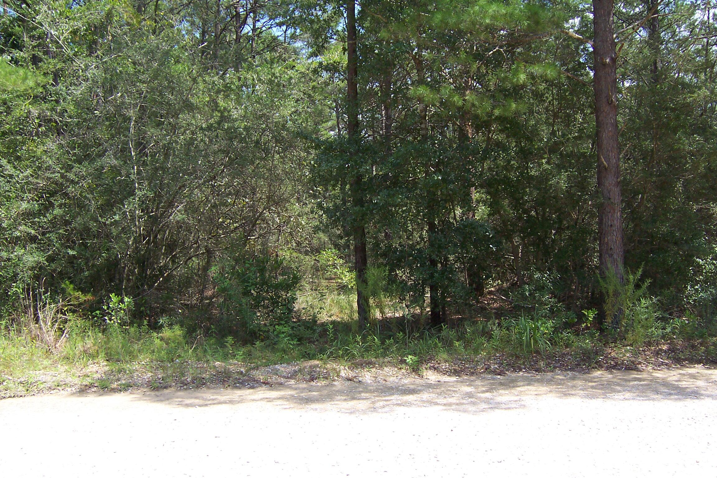 DeFuniak Springs FL, 10 Ac Nowling Road