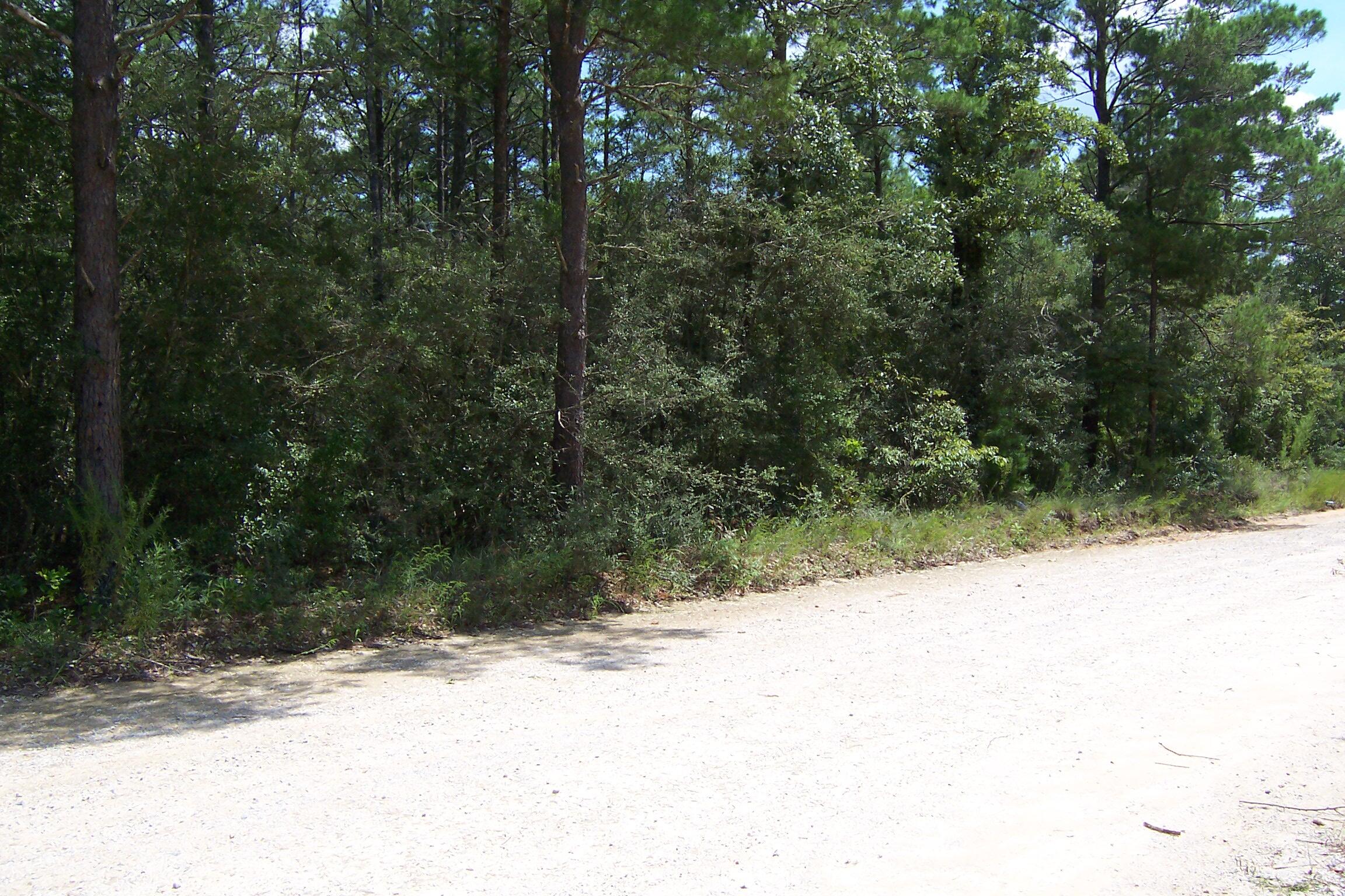 10 Ac Nowling Road Defuniak Springs FL 32435