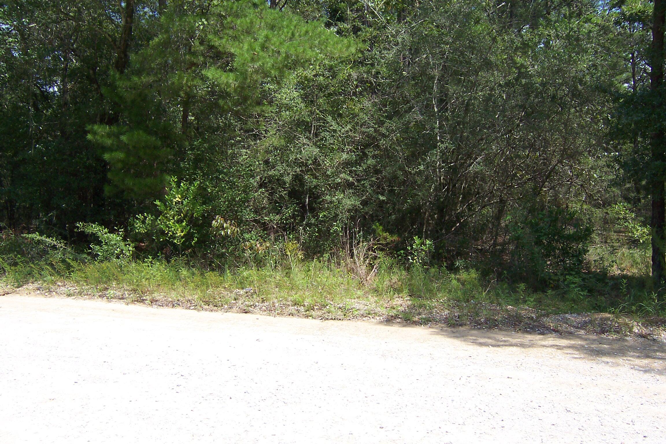 10 Ac Nowling Road Defuniak Springs FL 32435