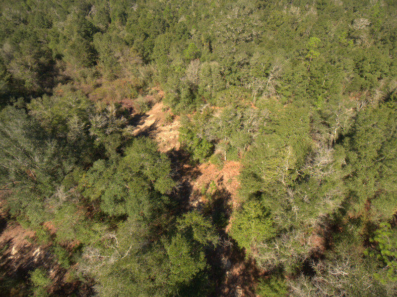 14A Wiggins Holt FL 32564