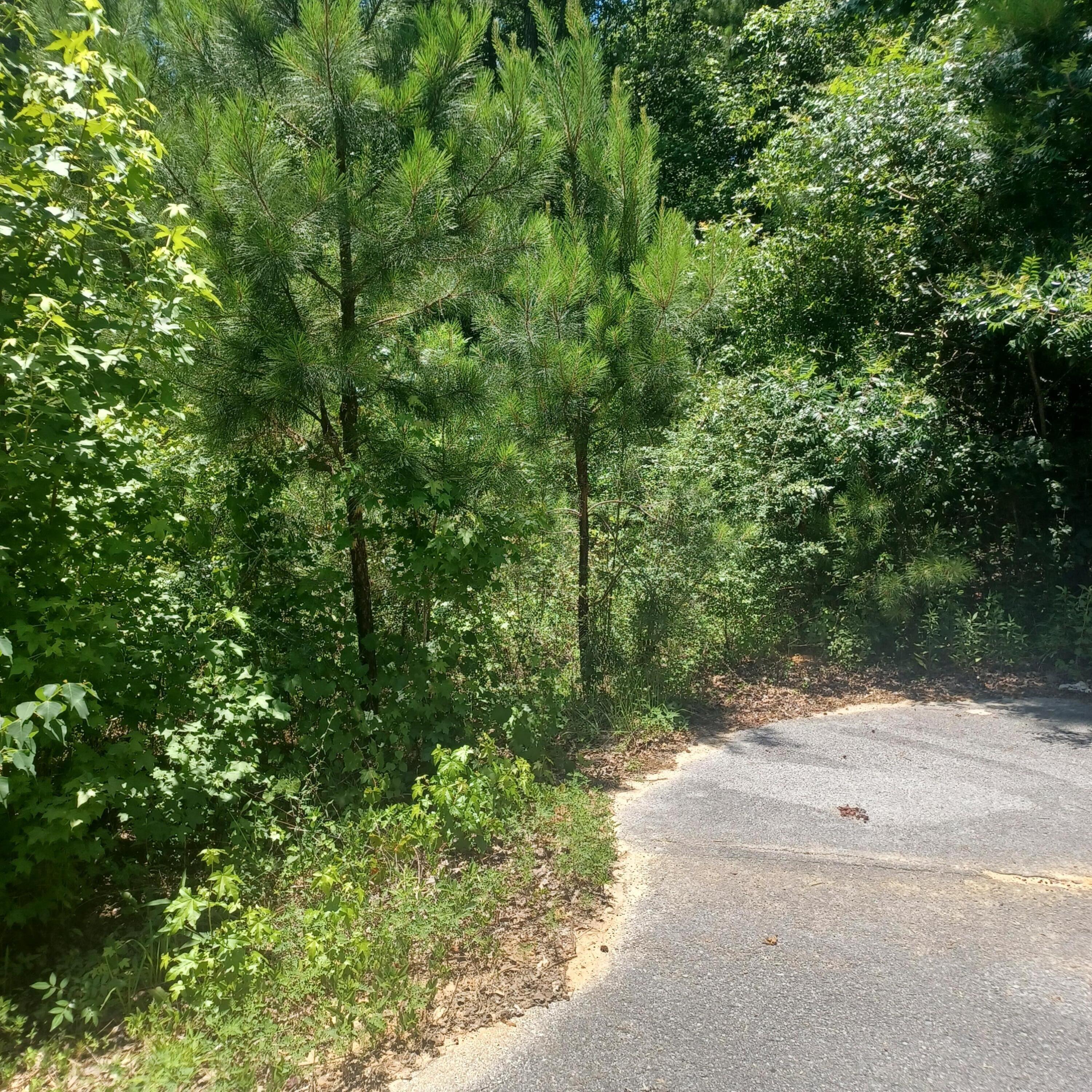 Lot 5 Pleasant Way Defuniak Springs FL 32435