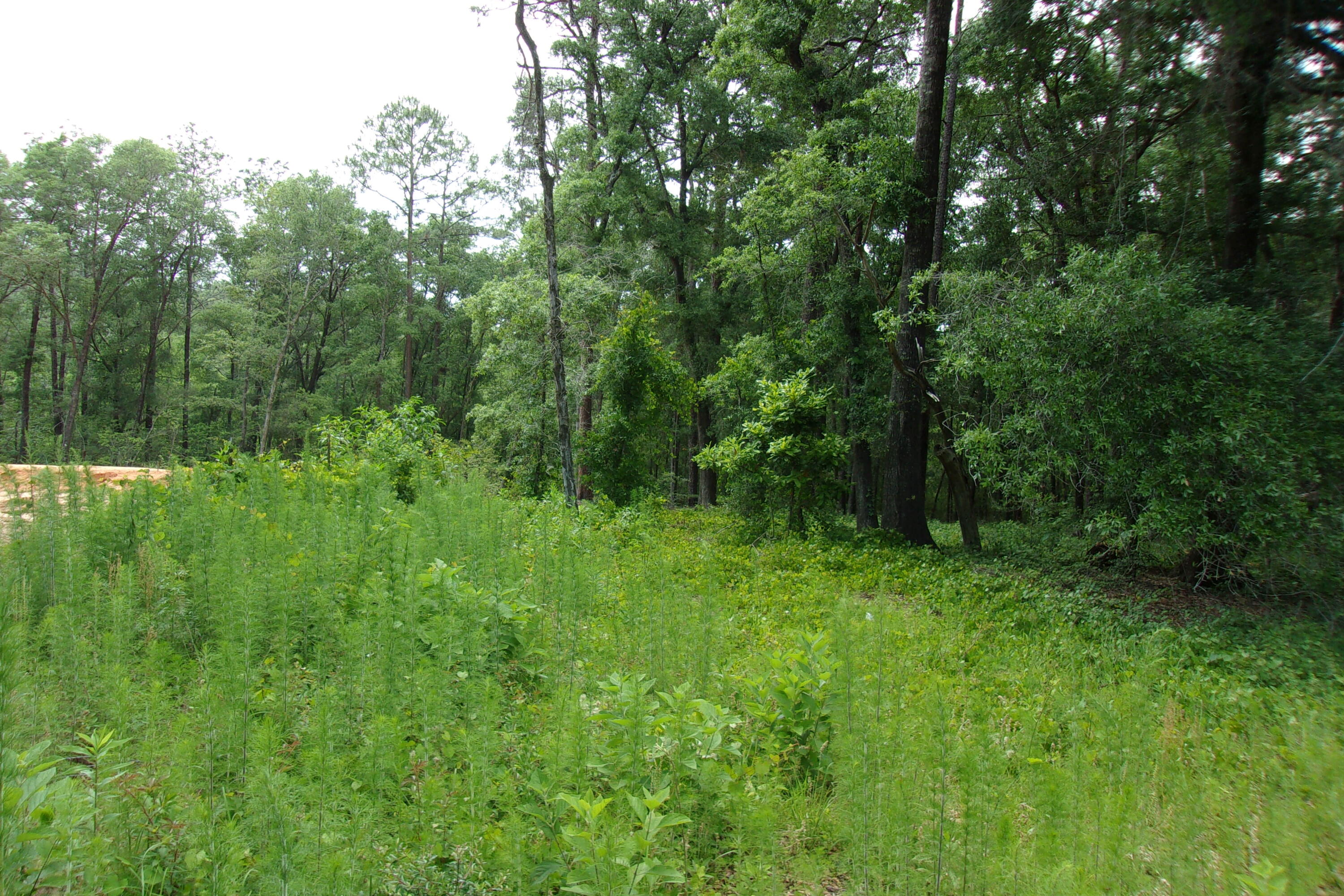 5902 Roberts Road Crestview FL 32536