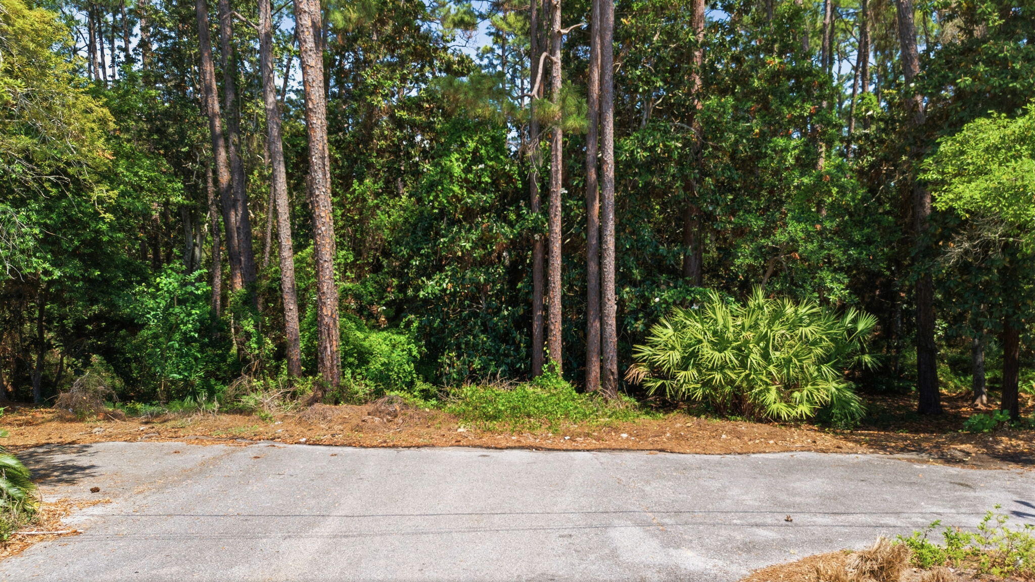 Tbd Bramble Street Santa Rosa Beach FL 32459