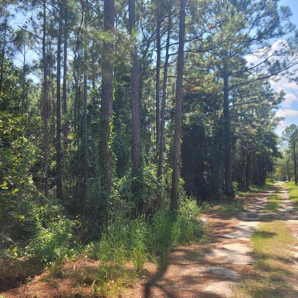 Lot 21 Santa Maria Drive Santa Rosa Beach FL 32459