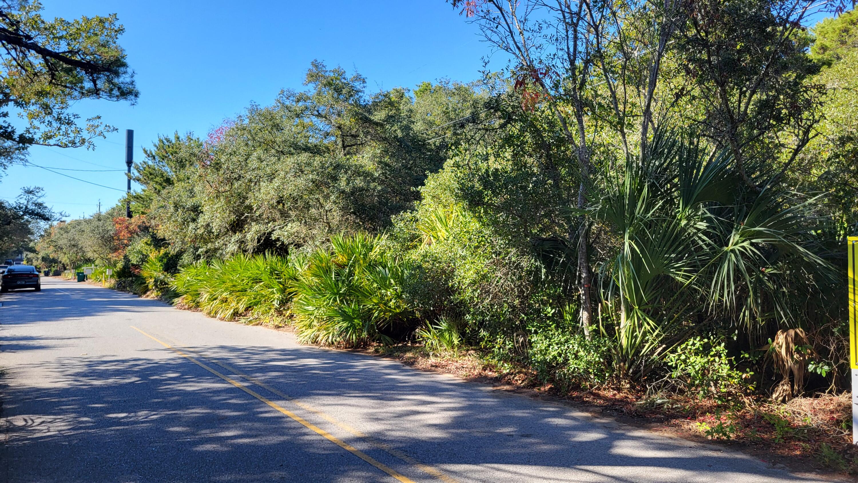 0 Walton Rose Lane Inlet Beach FL 32461