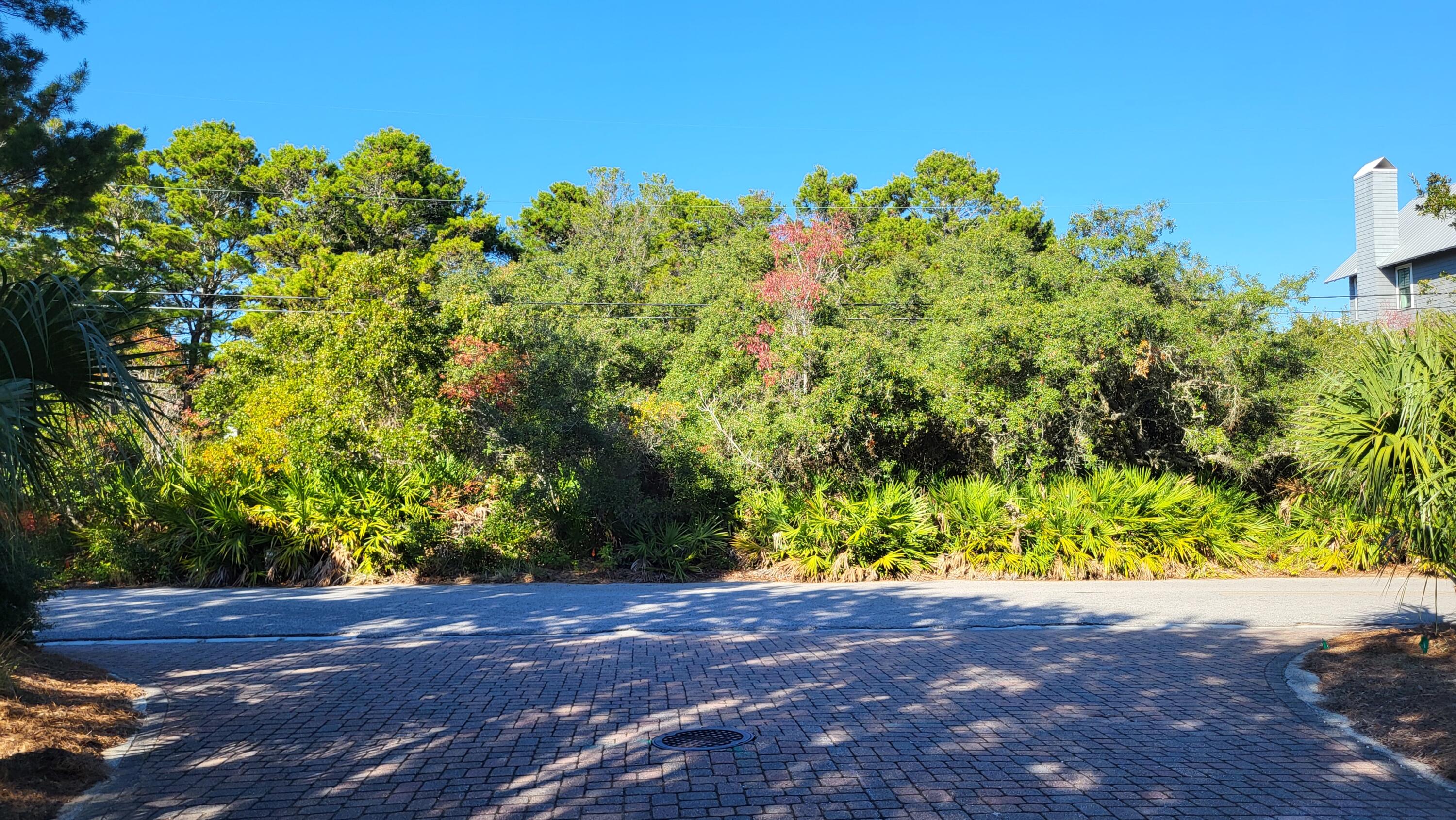 0 Walton Rose Lane Inlet Beach FL 32461
