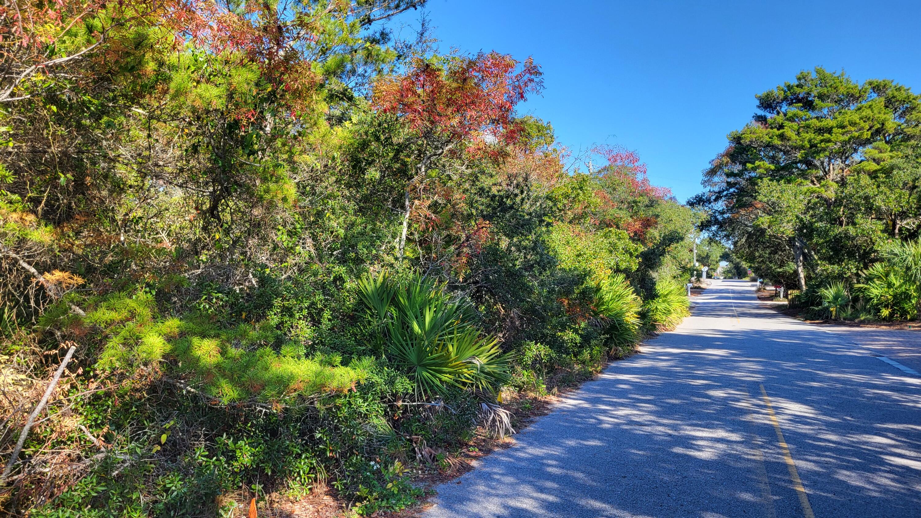 0 Walton Rose Lane Inlet Beach FL 32461
